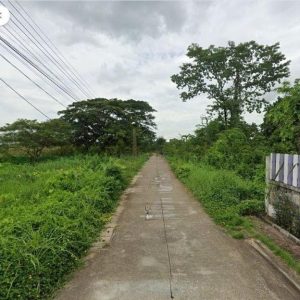 出售地皮-泰国-彭世洛-1512-平方米-102.06-01