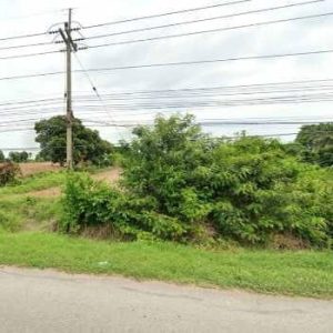 出售地皮-泰国-彭世洛-16672-平方米-20.58-01