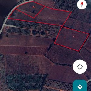 出售地皮-泰国-彭世洛-62728-平方米-6.4-01