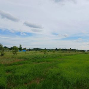 出售地皮-泰国-彭世洛-6404-平方米-11.8-01