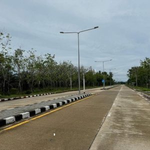 出售地皮-泰国-攀牙-111284-平方米-2.49-01