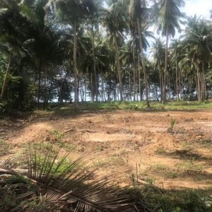 出售地皮-泰国-攀牙-34800-平方米-19.72-01