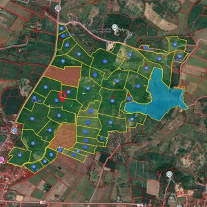 出售地皮-泰国-昌莱-1089112-平方米-5.38-01