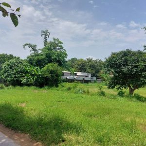 出售地皮-泰国-昌莱-1600-平方米-27.86-01