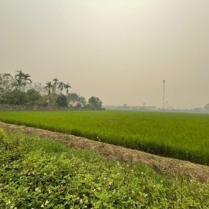 出售地皮-泰国-昌莱-3200-平方米-26.8-01