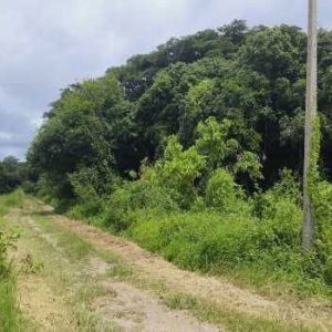 出售地皮-泰国-昌莱-4800-平方米-11.8-01