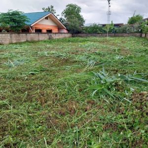 出售地皮-泰国-昌莱-488-平方米-94.86-01