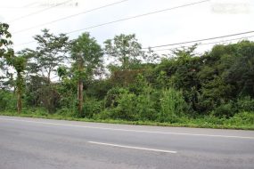 出售地皮-泰国-昌莱-4888-平方米-34.32-01