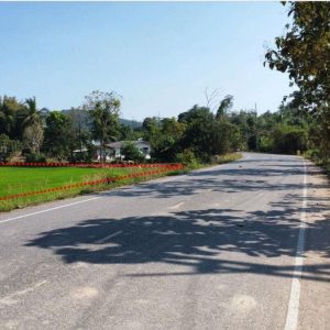 出售地皮-泰国-昌莱-7956-平方米-4.12-01