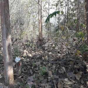 出售地皮-泰国-昌莱-948-平方米-28.23-01