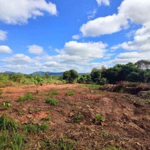 出售地皮-泰国-昌莱-9820-平方米-13.95-01