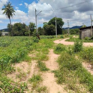 出售地皮-泰国-春武里-1048-平方米-104.72-01