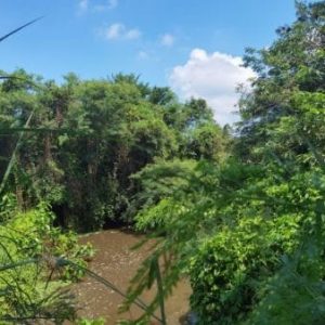 出售地皮-泰国-春武里-12200-平方米-8.58-01