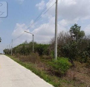 出售地皮-泰国-春武里-127336-平方米-25.55-01