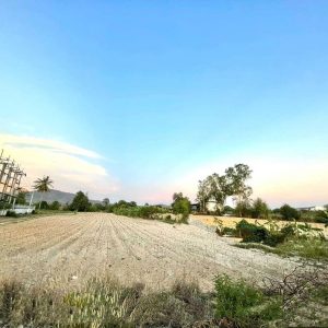 出售地皮-泰国-春武里-13244-平方米-64.29-01