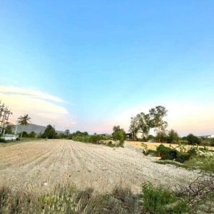 出售地皮-泰国-春武里-13244-平方米-68.58-01