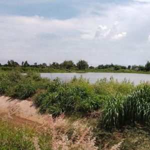 出售地皮-泰国-春武里-14400-平方米-1.58-01