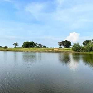 出售地皮-泰国-春武里-1564-平方米-164.43-01