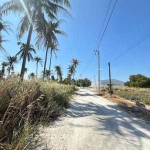 出售地皮-泰国-春武里-15948-平方米-85.72-01