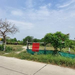 出售地皮-泰国-春武里-1600-平方米-0-01