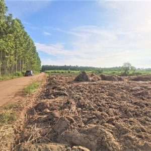 出售地皮-泰国-春武里-1600-平方米-32.15-01