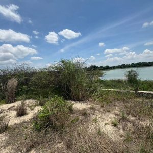 出售地皮-泰国-春武里-1600-平方米-428.58-01