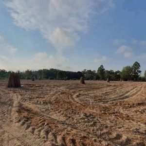 出售地皮-泰国-春武里-16000-平方米-96.43-01