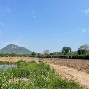 出售地皮-泰国-春武里-16676-平方米-143.95-01