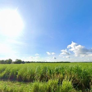 出售地皮-泰国-春武里-170140-平方米-70.55-01