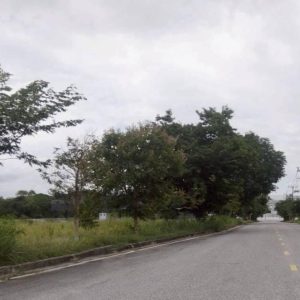 出售地皮-泰国-春武里-17296-平方米-22.8-01