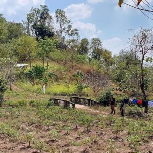 出售地皮-泰国-春武里-176000-平方米-15.6-01