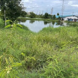 出售地皮-泰国-春武里-19264-平方米-192.23-01