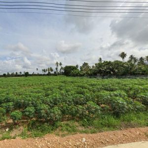 出售地皮-泰国-春武里-20312-平方米-75-01