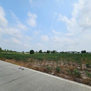 出售地皮-泰国-春武里-20884-平方米-117.86-01