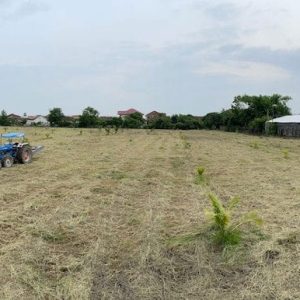 出售地皮-泰国-春武里-22004-平方米-101.29-01