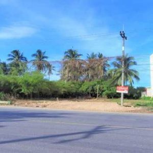 出售地皮-泰国-春武里-224-平方米-459.2-01