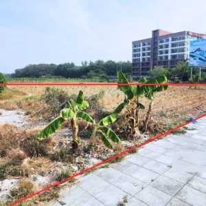 出售地皮-泰国-春武里-22860-平方米-557.15-01