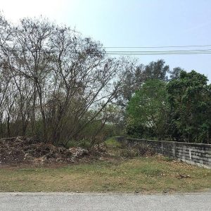 出售地皮-泰国-春武里-2312-平方米-154.29-01