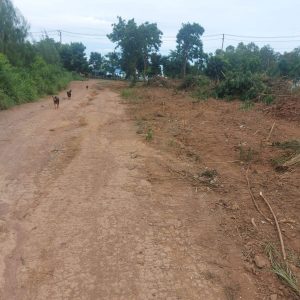 出售地皮-泰国-春武里-23672-平方米-642.86-01