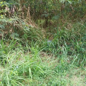 出售地皮-泰国-春武里-240-平方米-214.29-01