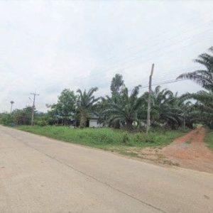 出售地皮-泰国-春武里-25164-平方米-13.95-01