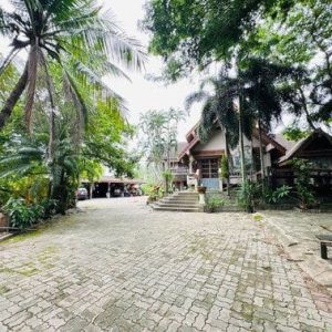 出售地皮-泰国-春武里-25356-平方米-192.86-01