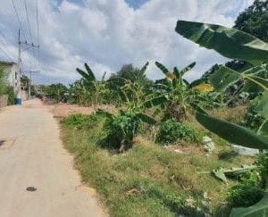 出售地皮-泰国-春武里-2660-平方米-206.26-01