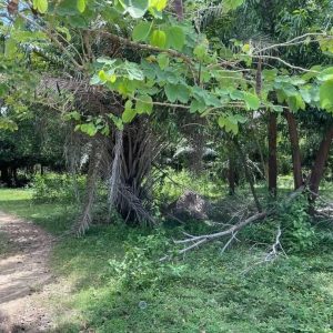 出售地皮-泰国-春武里-31580-平方米-88.4-01