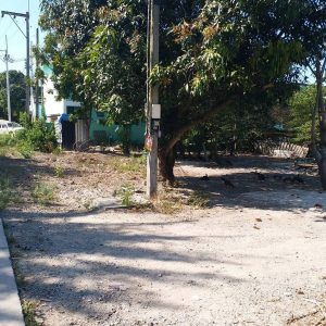 出售地皮-泰国-春武里-320-平方米-80.38-01