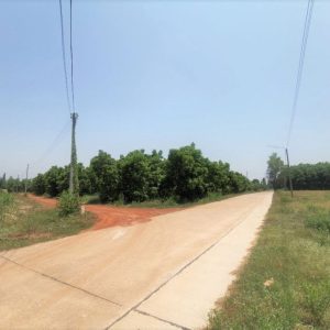 出售地皮-泰国-春武里-3200-平方米-15-01