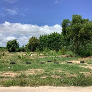 出售地皮-泰国-春武里-3200-平方米-75-01