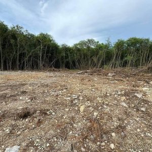 出售地皮-泰国-春武里-332-平方米-361.46-01