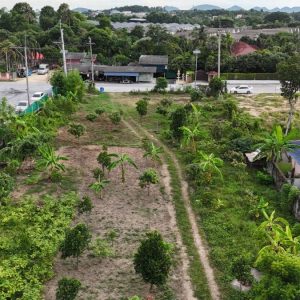 出售地皮-泰国-春武里-3536-平方米-160.72-01