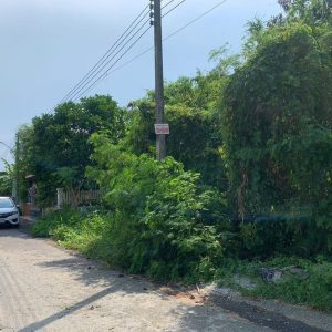 出售地皮-泰国-春武里-360-平方米-114.29-01